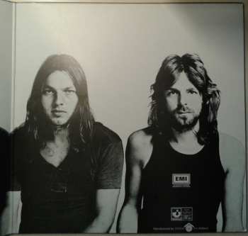 LP Pink Floyd: Meddle 603276