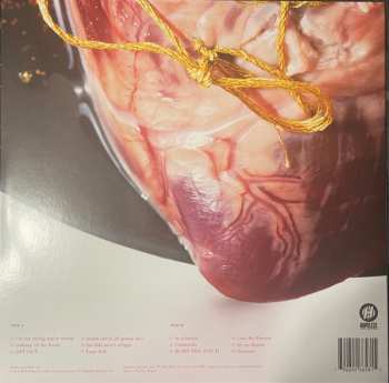 LP Pinkshift: Love Me Forever CLR | LTD 586384