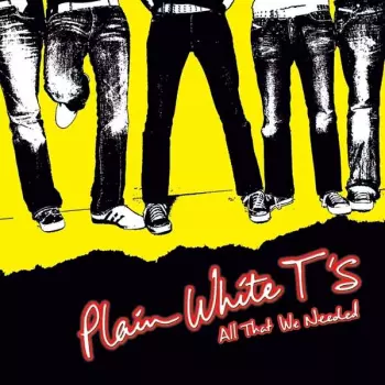 Plain White T's: All That We Needed