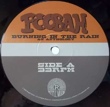 2LP Poobah: Burning In The Rain An Anthology 577234