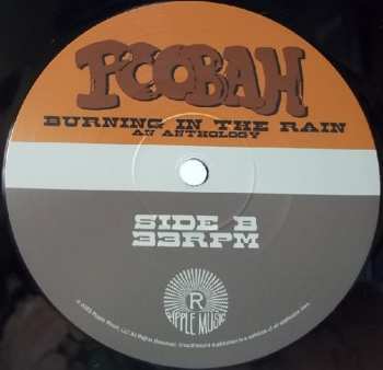 2LP Poobah: Burning In The Rain An Anthology 577234