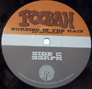 2LP Poobah: Burning In The Rain An Anthology 577234