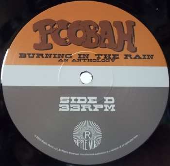 2LP Poobah: Burning In The Rain An Anthology 577234