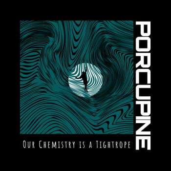 Album Porcupine: Our Chemistry is a Tightrope