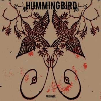 Album Hummingbird: Prisoner