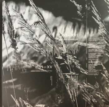 3LP Prurient: Frozen Niagara Falls 369532