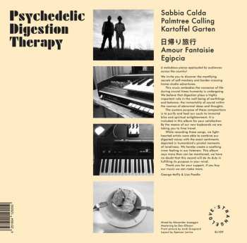 LP Psychedelic Digestion Therapy: Psychedelic Digestion Therapy 120764