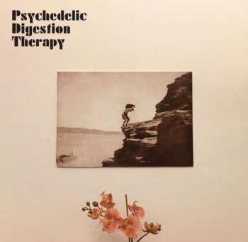 Album Psychedelic Digestion Therapy: Psychedelic Digestion Therapy