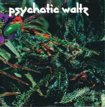 Psychotic Waltz: Mosquito