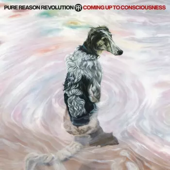 Pure Reason Revolution: Coming Up To Consciousness