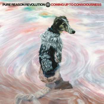 CD/DVD Pure Reason Revolution: Coming Up To Consciousness LTD 622662