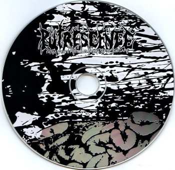 CD Putrescence: Fatal White Pustules Upon Septic Organs 462157