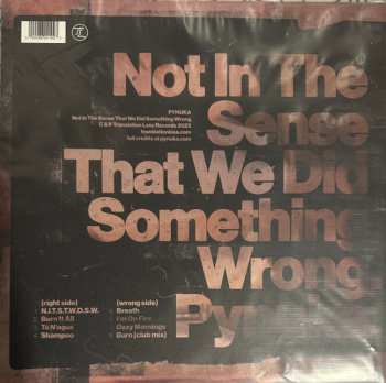 LP Pynuka: Not In The Sense That We Did Something Wrong CLR 580678