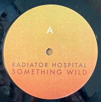 LP Radiator Hospital: Something Wild 570513