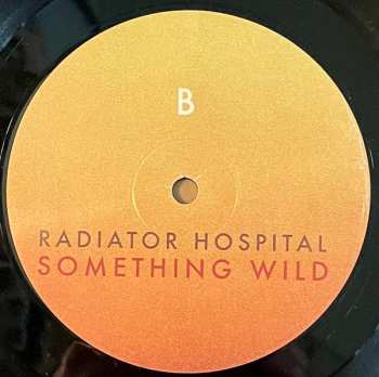 LP Radiator Hospital: Something Wild 570513