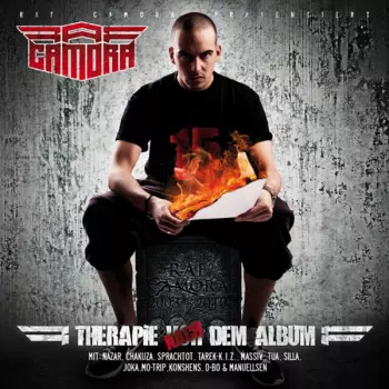 Raf Camora: Therapie Nach Dem Album