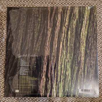 LP Rafael Toral: Spectral Evolution 562316