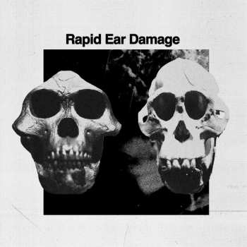 Album Rapid Ear Damage: R.E.D