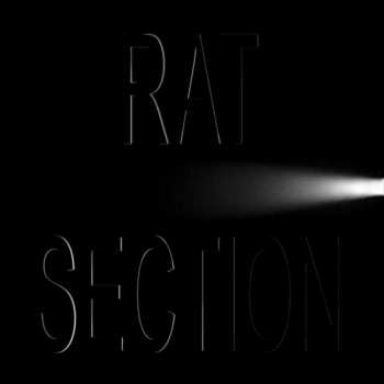 Album Rat Section: What Stays In Vegas