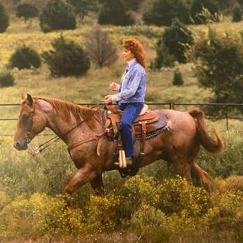 3CD/Box Set Reba McEntire: Revived Remixed Revisited 187342