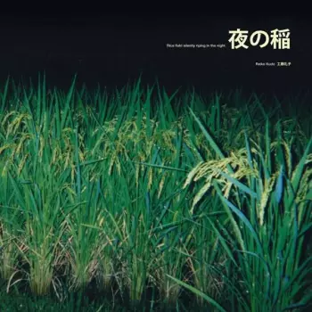 夜の稲 = Rice Field Silently Riping In The Night