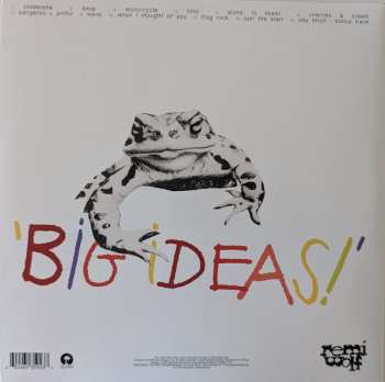 LP Remi Wolf: Big Ideas 577095