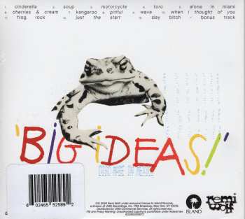 CD Remi Wolf: Big Ideas 628621