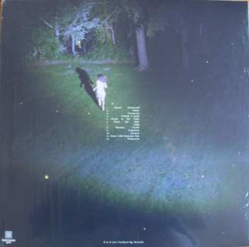 LP Renata Zeiguer: Picnic In The Dark 580396