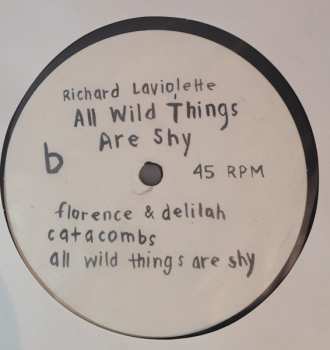 2LP Richard Laviolette: All Wild Things Are Shy LTD 612583