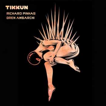 Album Richard Pinhas: Tikkun