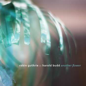 Robin Guthrie: Another Flower