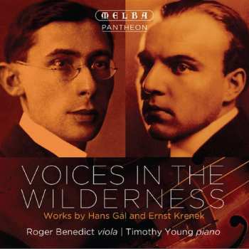 Album Roger Benedict: Roger Benedict & Timothy Young - Voices In The Wilderness