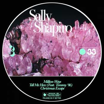 2LP Sally Shapiro: Sad Cities CLR 364584