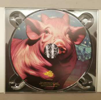 CD Saltpig: Saltpig 622918