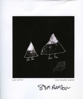 LP Sam Amidon: The Following Mountain 597266