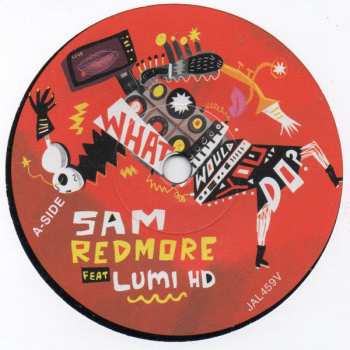 Album Sam Redmore: What Would You Do?