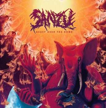 CD Sanzu: Heavy Over The Home 15748