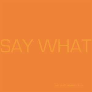 2LP Say What: Say What CLR 587908