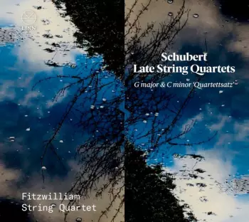 Late String Quartets: G Major & C Minor "Quartettsatz"