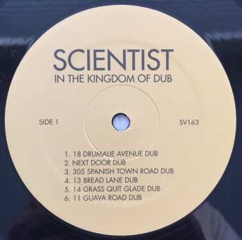 LP Scientist: In The Kingdom Of Dub 361472