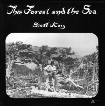 CD Scott Key: This Forest And The Sea 586179