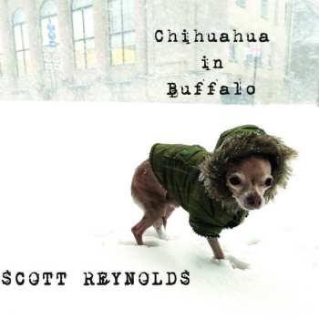 Album Scott Reynolds: Chihuahua In Buffalo