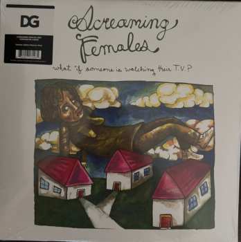 LP Screaming Females: What If Someone Is Watching Their T.V.? 583484