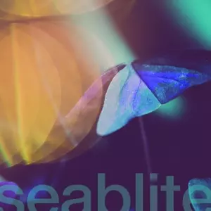 seablite: 7-breadcrumbs