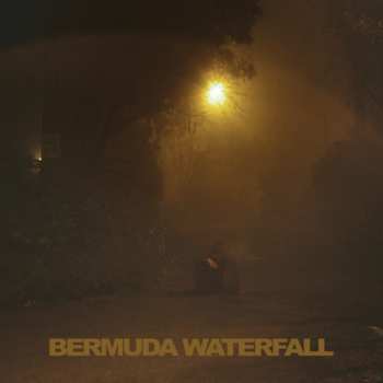 Album Sean Nicholas Savage: Bermuda Waterfall