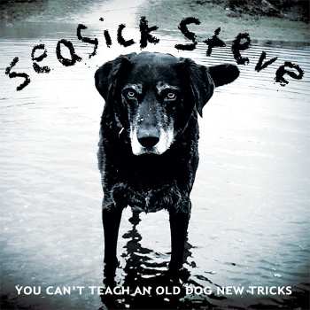 Album Seasick Steve: You Can't Teach an Old Dog New Tricks