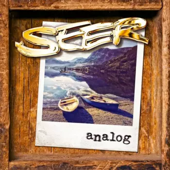 Seer: Analog