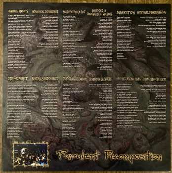 LP Sepsism: Purulent Decomposition 585241