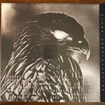 CD Shabazz Palaces: The Floss Vibes Of Shabazz Vol. 2: Exotic Birds Of Prey 552014