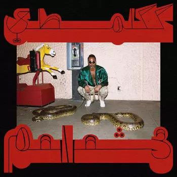 Shabazz Palaces: Robed In Rareness